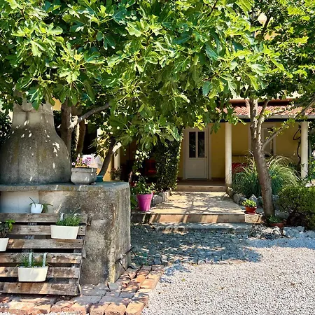 Sanja Apartmán Klenovica